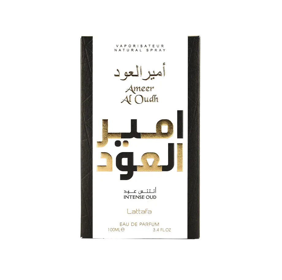 AmeerAlOudhIntensefront.webp